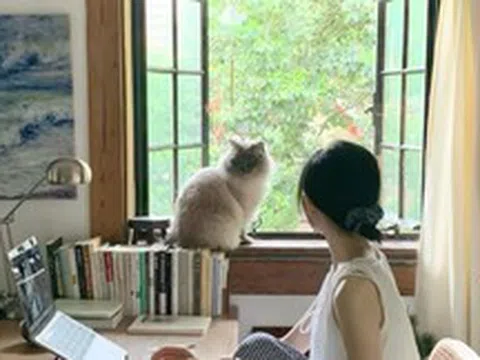 Vì sao ngày càng nhiều người chọn sống ở tầng hai? Sau khi ở thử, nhiều người thừa nhận: “Quyết định đáng giá nhất”