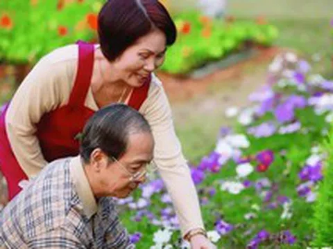 Lương hưu hơn 6 triệu/tháng: Sau một trận ốm, tôi mới hiểu giá trị tài chính thật sự của khoản tiền tưởng nhỏ