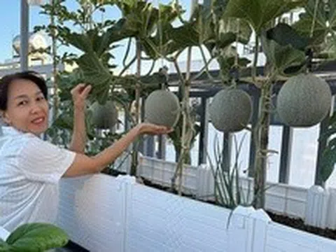 Vợ chồng ở TP.HCM gây sốt với khu vườn trên sân thượng, vừa có rau sạch ăn, vừa là nơi "hâm nóng" tình cảm cực lãng mạn