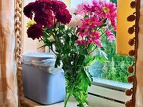 Mua hoa về cắm, đừng bao giờ đặt ở vị trí này trong nhà