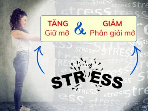 Vì sao càng căng thẳng càng khó giảm cân?