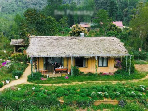 Bản làng xanh mát cách Hà Nội 250km, khách vượt xa đến hái rau, tự nấu cơm