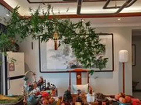 Ông bà dặn kỹ: 6 vị trí trong nhà tuyệt đối không nên đặt cây cảnh, sai một ly gia đình dễ lục đục