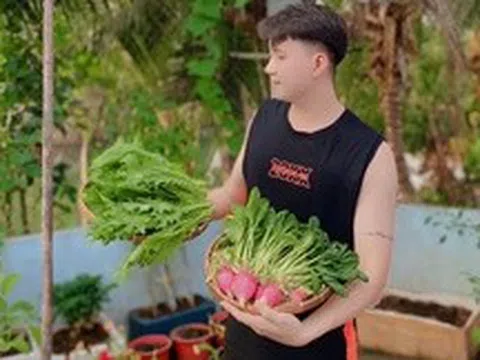 Ngỡ ngàng nam công nhân biến khoảng sân trọ 3m2 thành vườn rau quả "lúc lỉu"