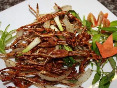 Đặc sản miền Tây có tên dễ gây hiểu lầm, giá hơn triệu đồng mỗi kg