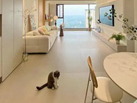 Bất chấp mọi lời khuyên, tôi vẫn lát gạch 600×1200mm cho phòng khách và sau khi ở 6 tháng, đây là điều tôi muốn nói thật