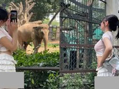 Phản cảm hình ảnh cô gái mặc váy ngắn đến lộ cả vòng 3 để đi Thảo Cầm Viên