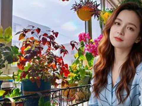 Ban công 3m² của người phụ nữ 45 tuổi gây sốt: Trồng vài chậu cây đơn giản mà biến nhà thành nơi muốn về sớm mỗi ngày