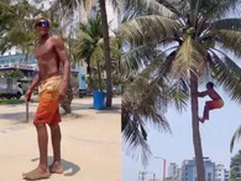 Chàng Tây du lịch Đà Nẵng hái dừa thoăn thoắt khiến dân mạng phục lăn