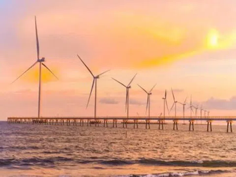 Bãi tắm có cánh đồng điện gió chạy thẳng tắp trên biển ở miền Tây, nổi tiếng với đặc sản cua “chù ụ” thơm ngon