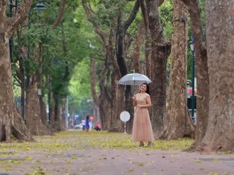 Phố Hà Nội đẹp dịu dàng mùa sấu rụng lá