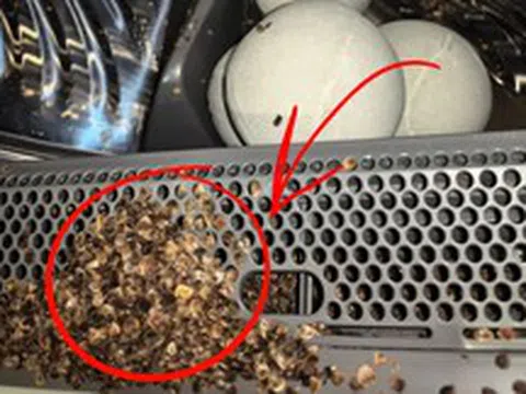 Sống 40 năm mới biết: Tuyệt đối không cho 8 thứ này vào máy giặt, không chỉ hỏng đồ mà còn “giết chết” máy rất nhanh