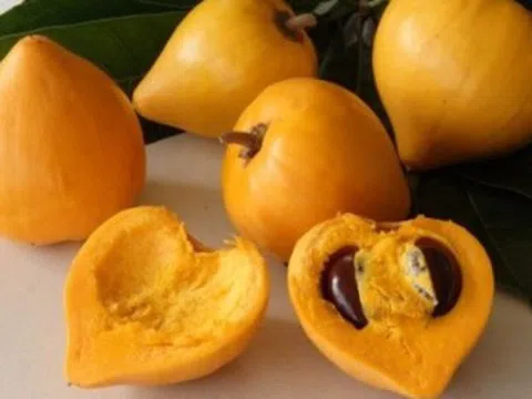 Cà phê kem lêkima: Thức uống sẽ soán ngôi cà phê kem dẻo Buôn Mê?