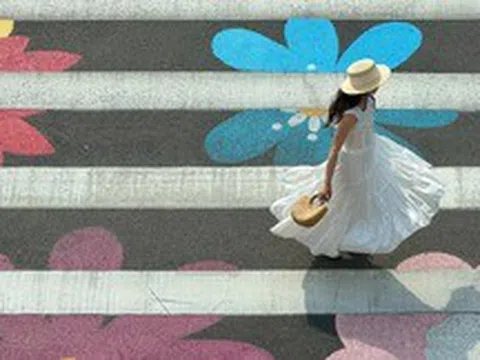 Vạch kẻ đường ở Thượng Hải bỗng nở hoa