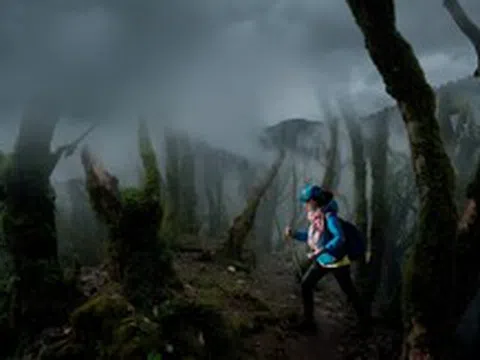 3 lưu ý quan trọng khi đi trekking rừng dịp nghỉ lễ 30/4-1/5