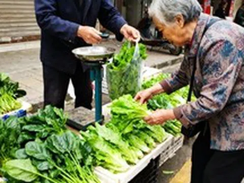 Khởi nghiệp quầy rau nhỏ: Ít người biết 3 loại này giúp quay vòng vốn nhanh