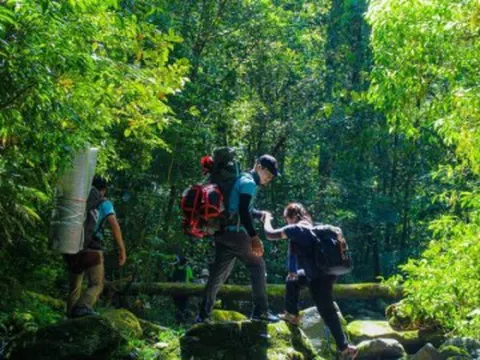 Leo núi, đi rừng có phải chỉ là “đi bộ”? Những hiểu lầm phổ biến của người mới