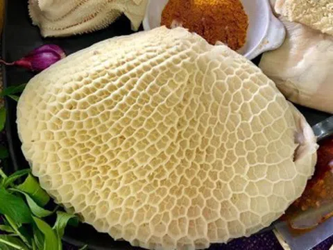 Đặc sản xưa ít người biết đến, giờ thành món khoái khẩu của dân thành phố nhờ hương vị lạ, giá 400.000 đồng/kg