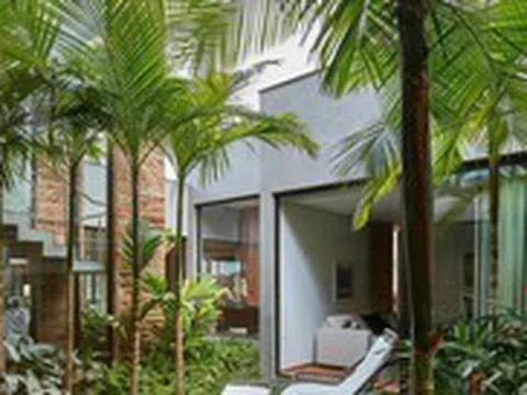 4 loại cây nên trồng trước cửa nhà: Vừa ‘trấn trạch’, vừa ‘hút’ tài lộc