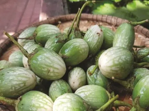 Loại quả xưa rụng đầy đường không ai nhặt, nay thành đặc sản nổi tiếng nơi núi rừng Tây Nguyên