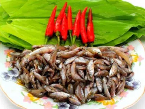 Món "cứu đói" mùa lũ trở thành đặc sản đắt đỏ với giá lên tới 300.000 - 400.000 đồng/kg, nhiều người truy lùng