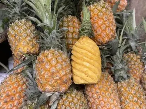 Một loại quả đang vào mùa bán đầy chợ Việt giá chỉ hơn chục nghìn đồng/quả, hương vị thơm ngon, tốt cho sức khỏe