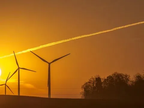 Đằng sau sự cố với cánh turbine khiến trang trại điện gió 48 MW phải ngừng hoạt động