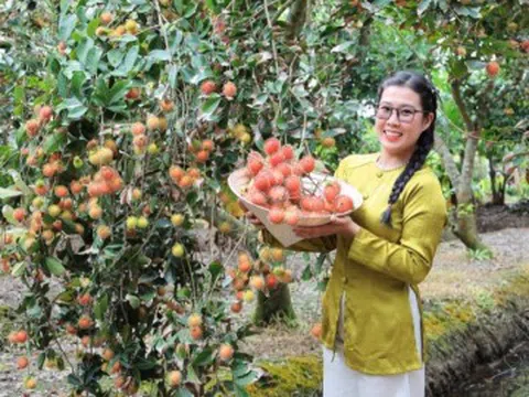5 điểm cách TP.HCM không xa, thích hợp cho dịp nghỉ lễ: Vừa tránh nóng hiệu quả, vừa ngắm cảnh chữa lành