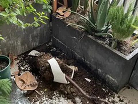Sau 1 năm dùng ban công mở, tôi hiểu vì sao nhiều người muốn đóng lại