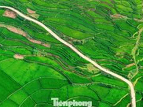 Ruộng bậc thang đẹp tuyệt khi lúa vào thì con gái