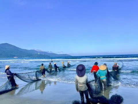 Du khách thích thú xem ngư dân kéo cá trên biển Đà Nẵng