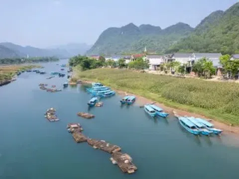 Cá trắm sông Son: "Đặc sản" nuôi lớn miền di sản Phong Nha