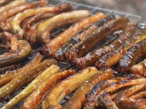 Sản vật trời ban nhìn giống lươn, đem nướng hay om củ chuối đều ngon