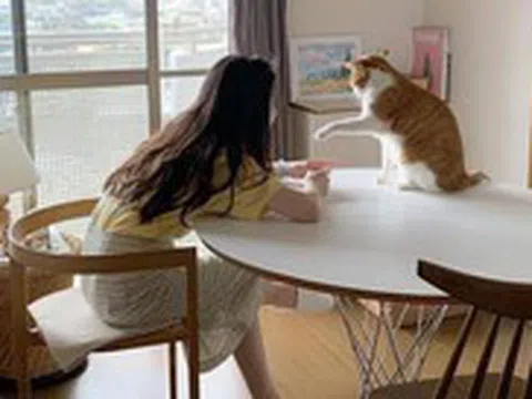 30 tuổi chưa mua được nhà, có lẽ tôi chỉ đủ sức nuôi nổi bản thân
