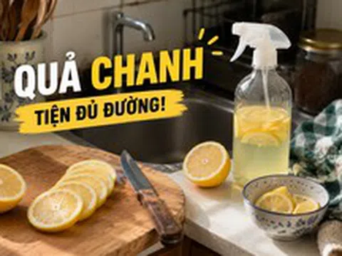 Từ thứ hay bị mốc trong tủ lạnh, chanh giờ trở thành “trợ thủ” số 1 trong căn bếp của tôi: 15 công dụng vừa sạch nhà vừa đỡ tốn tiền