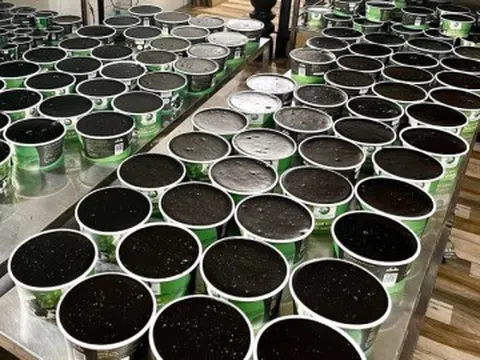 Đặc sản Lạng Sơn màu đen bóng, ăn mát bổ, khách Hà Nội đặt ship 220km về ăn