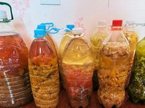 Tôi thử dùng giấm trắng để trồng cây sau khi đọc chia sẻ trên mạng và bất ngờ vì 7 công dụng vừa tiết kiệm vừa hiệu quả