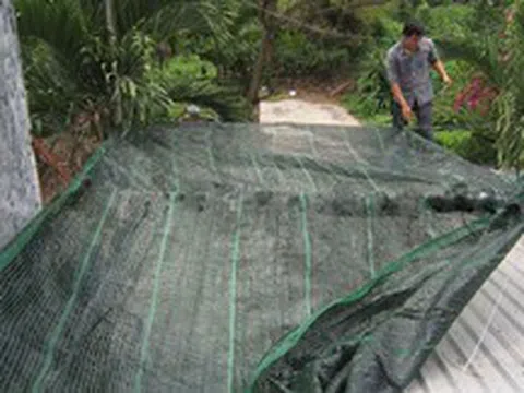 Làm thế nào để chống nóng hiệu quả cho nhà tầng trên cùng? 7 cách giúp giảm vài độ trong mùa hè, ngủ ngon mà không phải bật điều hòa cả đêm