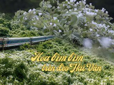 Việt Nam có cung đường đang xảy ra hiện tượng "tuyết mùa hè" phủ trắng đèo đẹp như phim