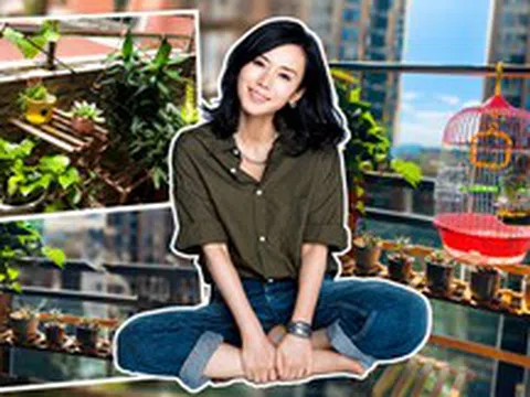 Từ chối xu hướng xây kín ban công, người phụ nữ biến khoảng không ngoài trời thành góc thư giãn khiến ai cũng muốn học theo