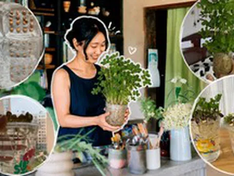 Tôi đã thử ngâm vài hạt đậu phộng trong nước suốt 15 ngày và bất ngờ nhận được một “khu rừng mini” xanh mát: Không tốn tiền mua cây mà vẫn có góc thư giãn cực chữa lành