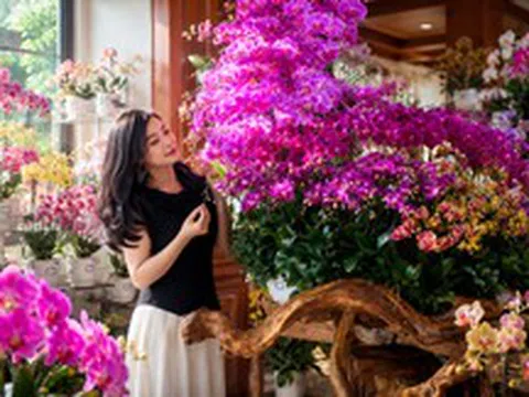 Người phụ nữ gây sốt với “phòng khách hoa lan” hơn 1.000 chậu: Không gian ngập sắc hoa khiến ai nhìn cũng muốn ngắm mãi