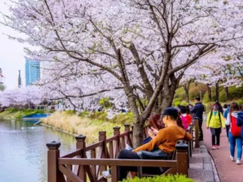 Cách nào giúp khách Việt xin được visa Hàn Quốc 10 năm