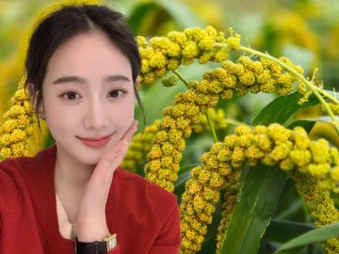 Loại hạt nhỏ xíu được ví như "ngũ cốc vàng": Ăn đều giúp giữ dáng, trẻ lâu, da đẹp thấy rõ