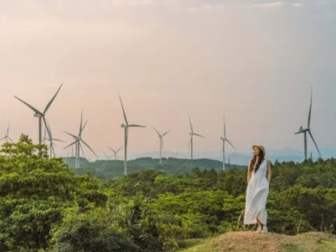 Khách Hà Nội mách điểm đến "sáng tắm biển, chiều lên đỉnh đồi mát như Đà Lạt"