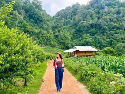 Cách Hà Nội không xa có “Làng nguyên thủy 3 không”, là thiên đường cho hội chữa lành với không khí mát lạnh