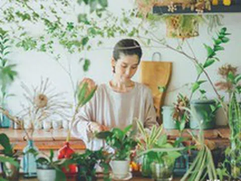 Người phụ nữ U40 biến căn bếp thành “khu vườn xanh” với hơn 30 loại cây: Mỗi sáng thức dậy đều thấy cuộc sống đáng yêu hơn