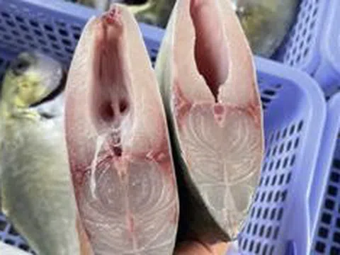 3 loại cá nhiều thịt ít xương, đang vào "mùa vàng" ở chợ