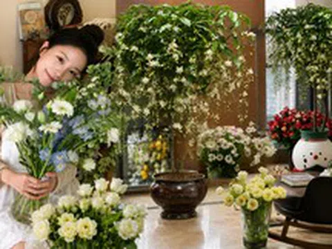 Một chậu hoa nhài rủ khiến cả phòng khách "lột xác": Hương thơm dễ chịu đến mức cả nhà đều mong được về sớm