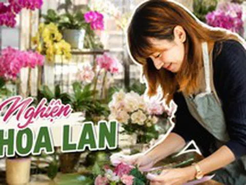 Cô gái khoe phòng khách kín hoa lan và quả quyết: "Tôi sẽ không mua thêm nữa", nhưng ai nhìn cũng chỉ biết bật cười